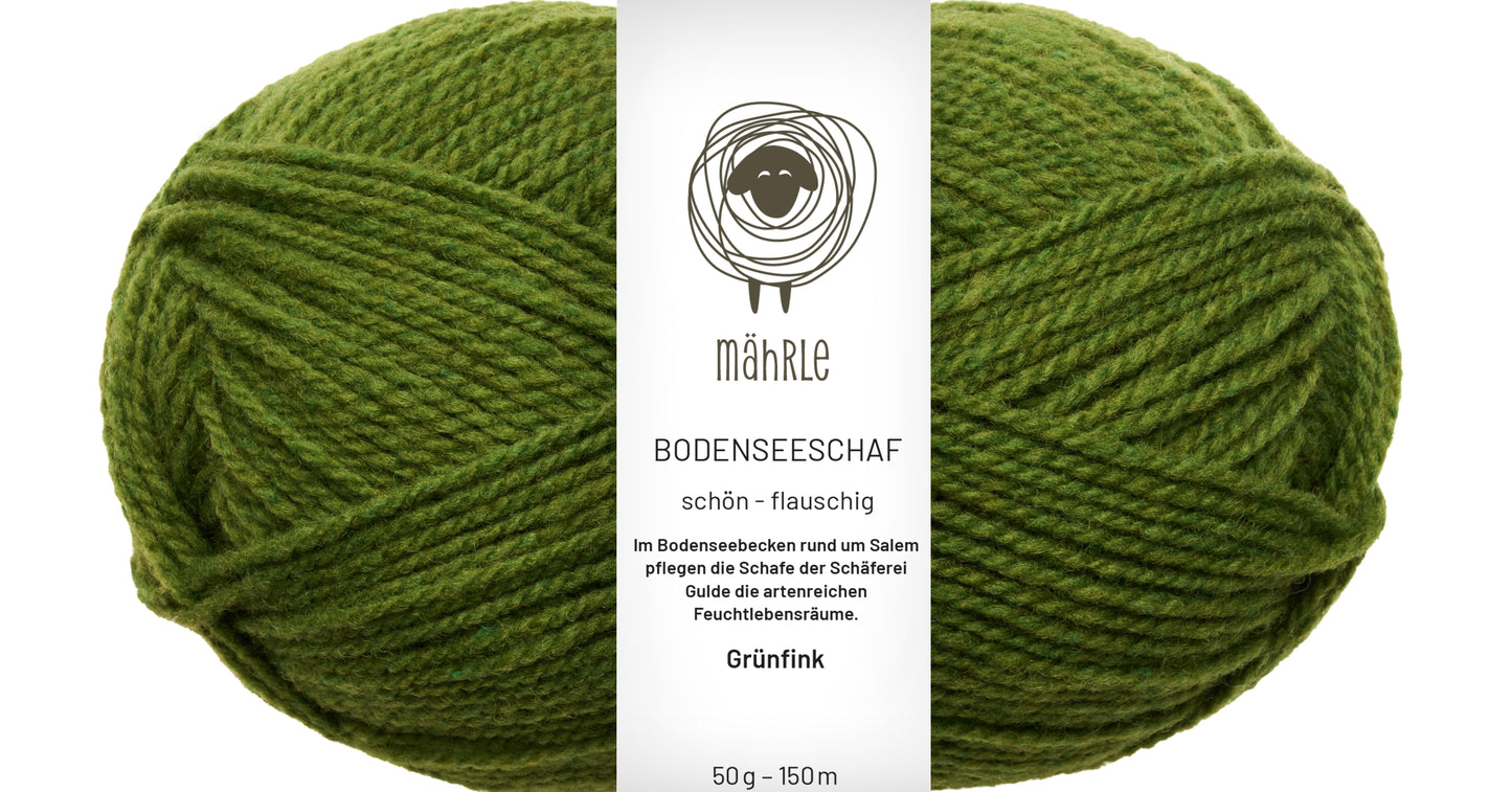 mährle - Bodenseeschaf
