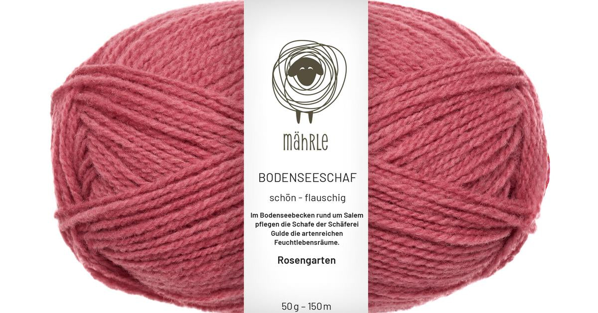 mährle - Bodenseeschaf