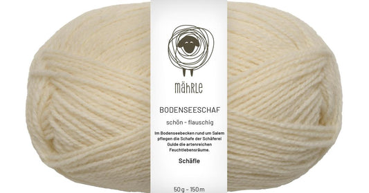 mährle - Bodenseeschaf