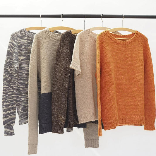 Raglan basics von Regina Moessmer