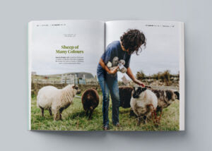 Shetland Wool Adventures Journal, Vol. 4