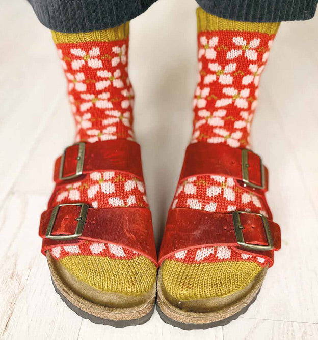 Geniale Motivsocken stricken. Farbenfrohe Statementsocken in Jacquardtechnik von Charlotte Stone