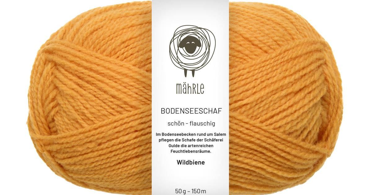 mährle - Bodenseeschaf